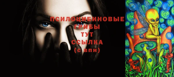 мдма Дмитриев