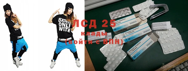 ПСИЛОЦИБИНОВЫЕ ГРИБЫ Алзамай