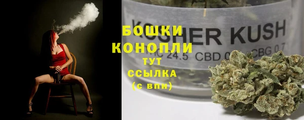 соль ск Алексин