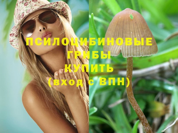 гашиш Дмитров