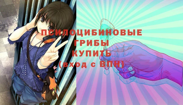 ПСИЛОЦИБИНОВЫЕ ГРИБЫ Алзамай