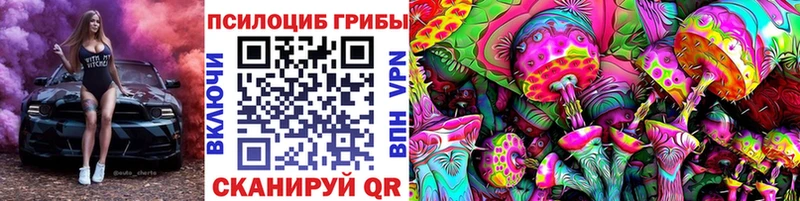 наркота  Балашов  Галлюциногенные грибы Psilocybe 