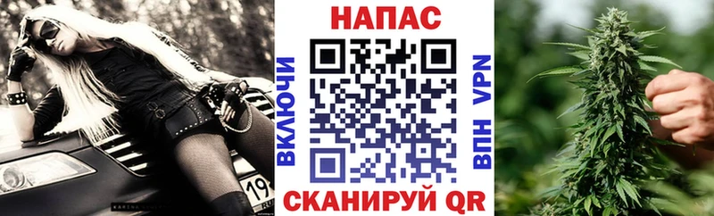 Бошки Шишки MAZAR Балашов